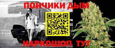 Альфа ПВП Аргун