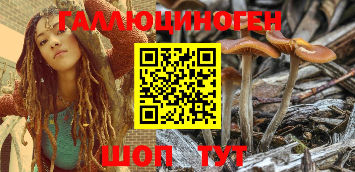Артём  Псилоцибиновые грибы Psilocybe  Псилоцибиновые грибы Psilocybine cubensis  Вход с VPN 